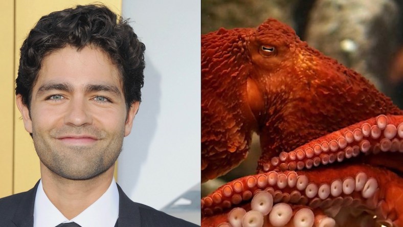 adrian-grenier-octopus