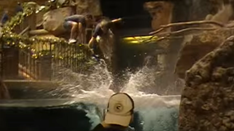 A Kid Jumped Into A Bass Pro Shops Fish Tank And It Definitely Wasnt