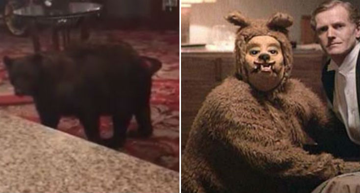 Watch A Rogue Bear Wander The Lobby Of The Hotel That Inspired The