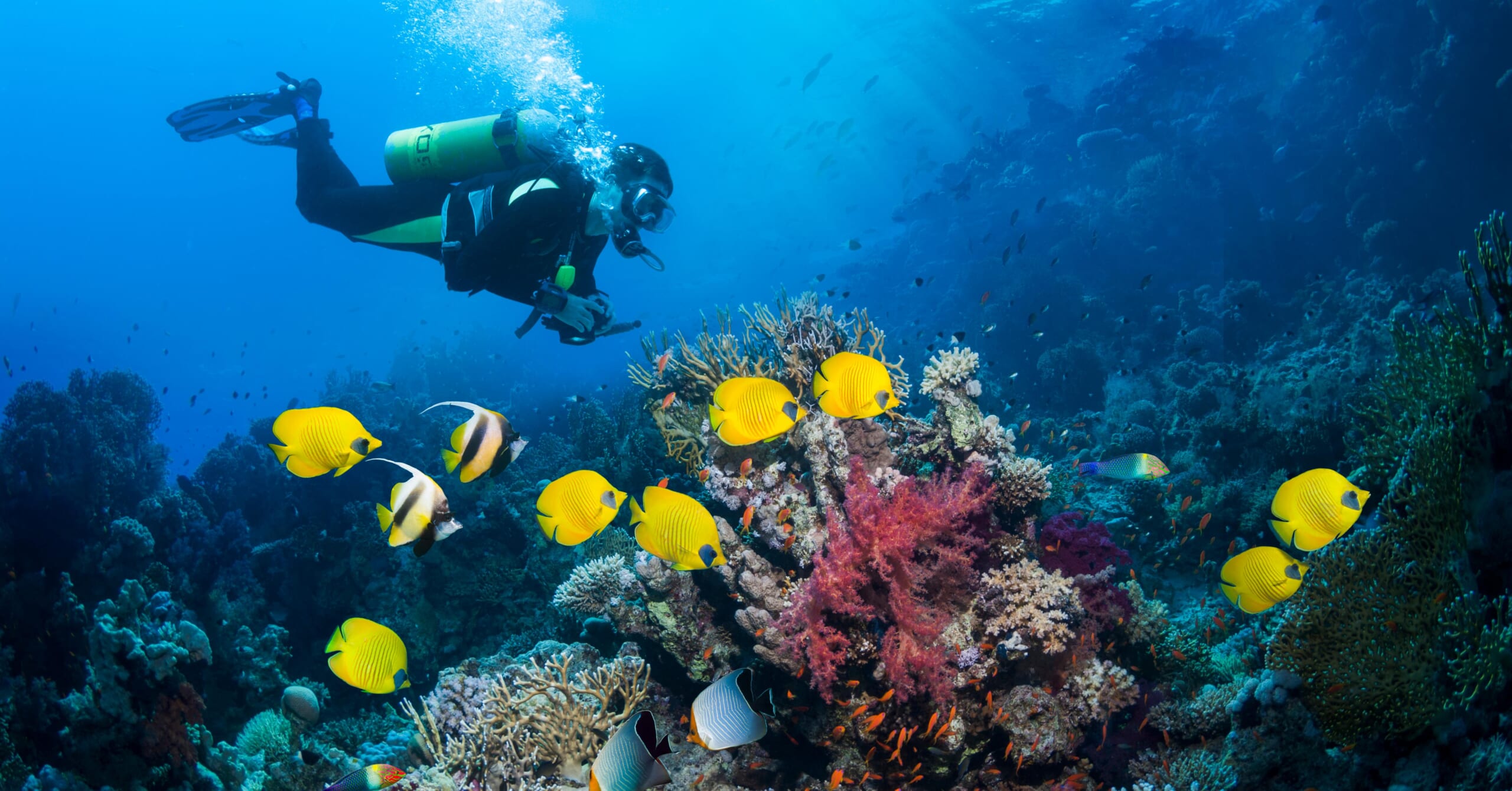 Bonaire Scuba Promo