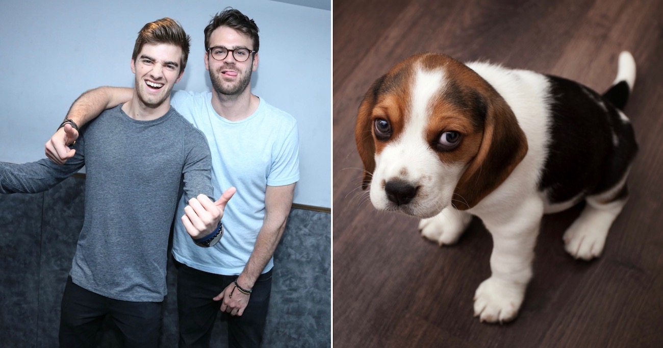 chainsmokers-dog-promo