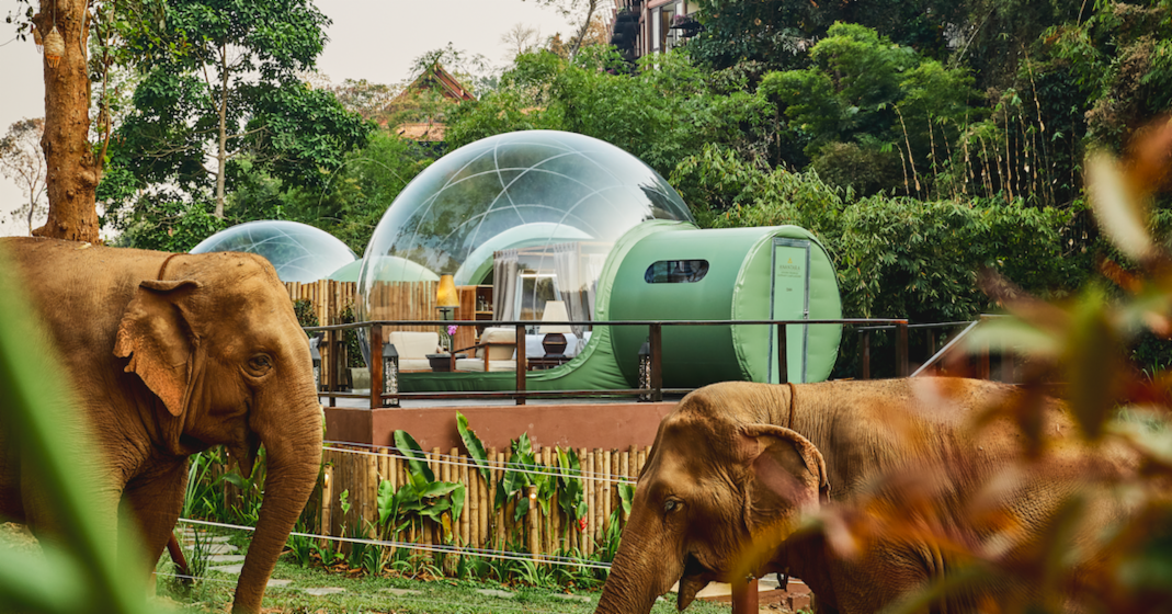 Sleep Among Elephants in The 'Jungle Bubble' Suites of Thailand - Maxim