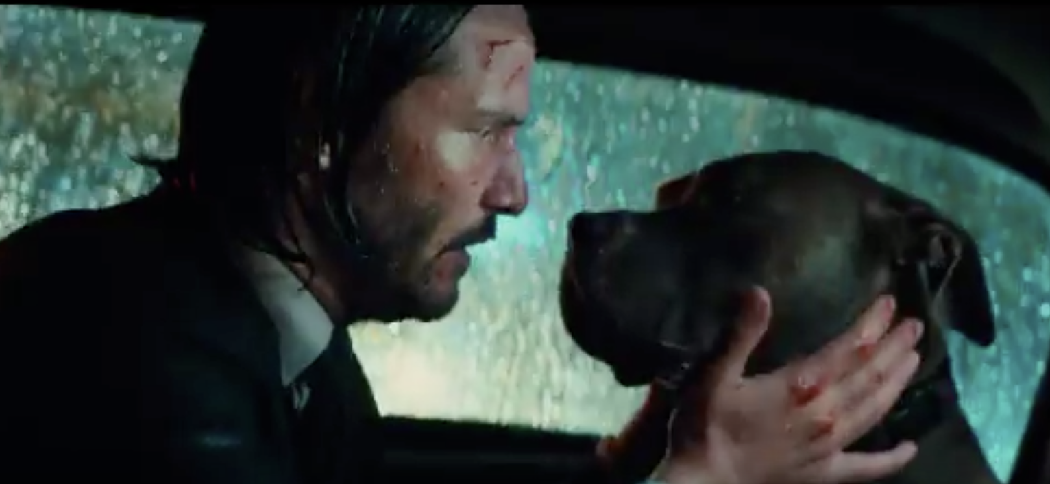 Watch Keanu Reeves Make a Tough Choice in New Clip From 'John Wick ...