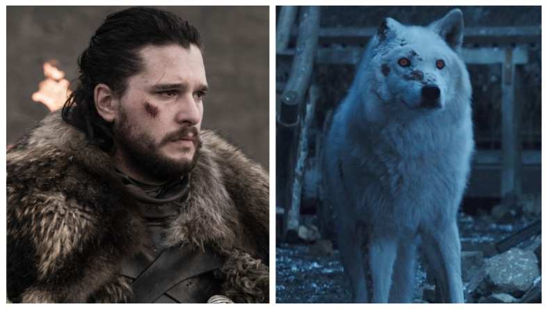 jon-snow-ghost-direwolf-hbo