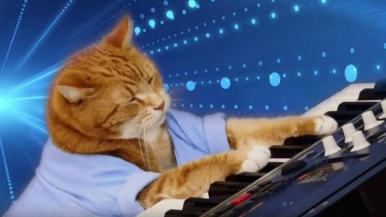 keyboard-cat-promo