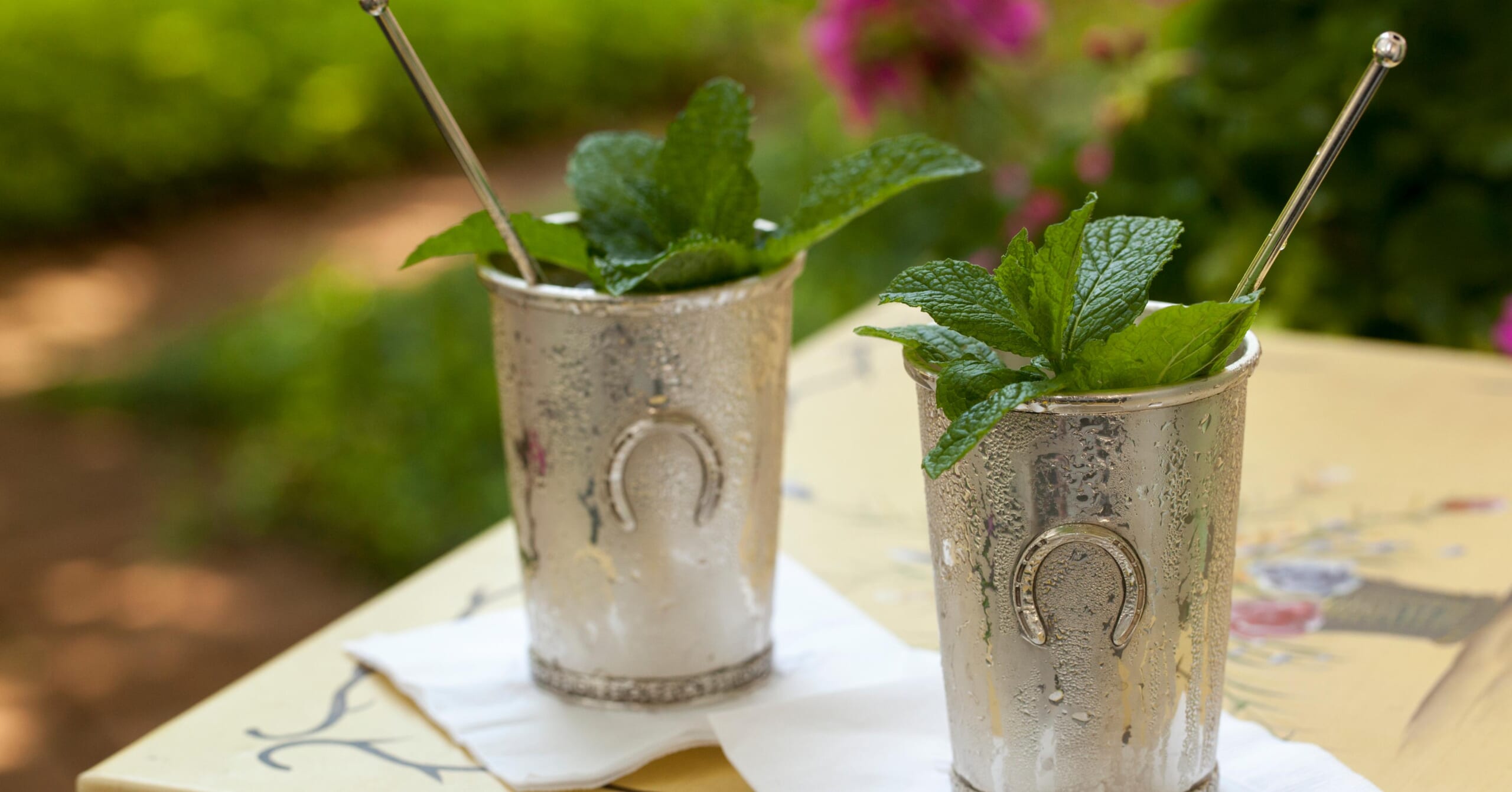 mintjuleppromo