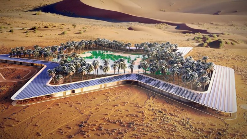 oasis-eco-resort.jpg