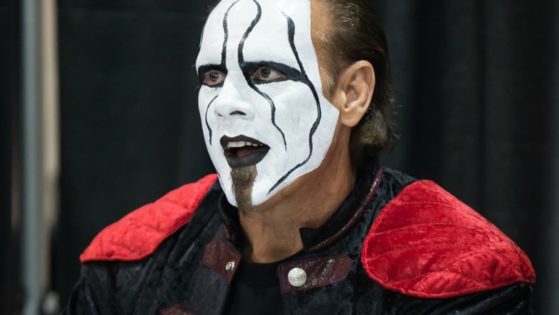 sting wrestler.jpg