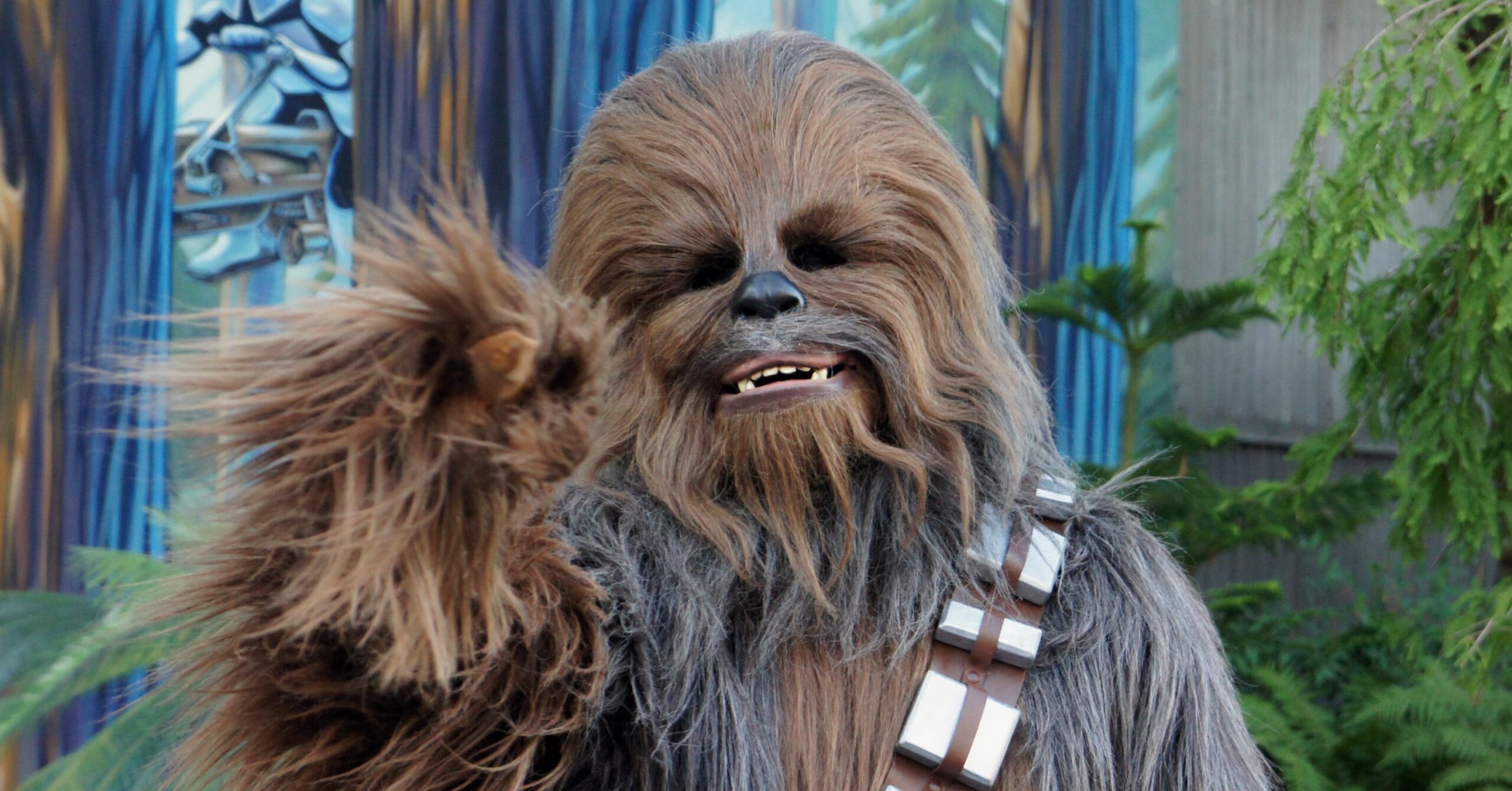 Chewbacca