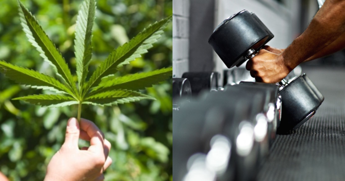 getty-images-cannabis-leaf-dumbbells