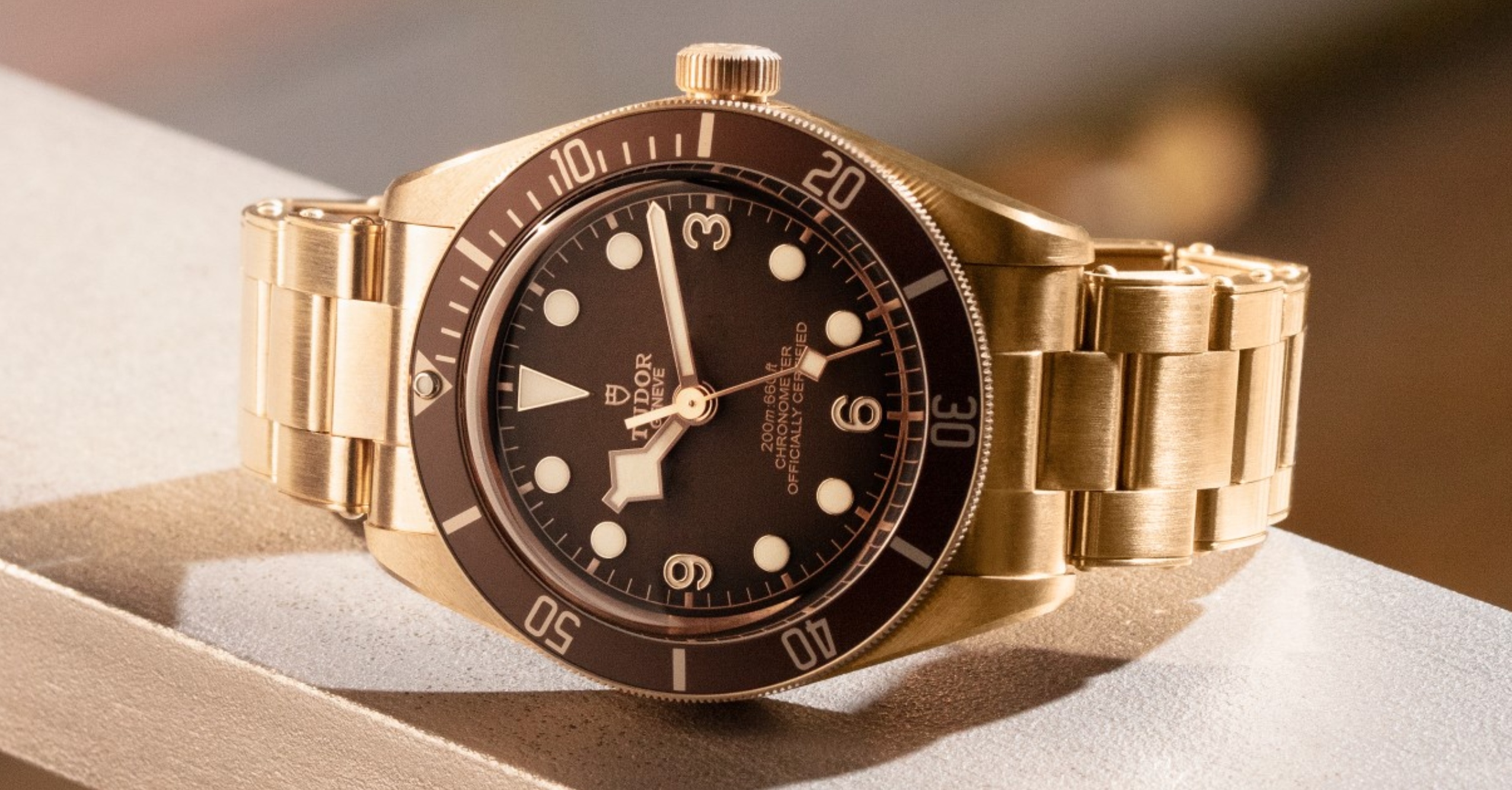 Tudor Black Bay Fifty-Eight Bronze Promo