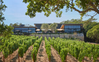 This Stunning California Resort and Vineyard Is Sonoma's Ultimate Wine ...