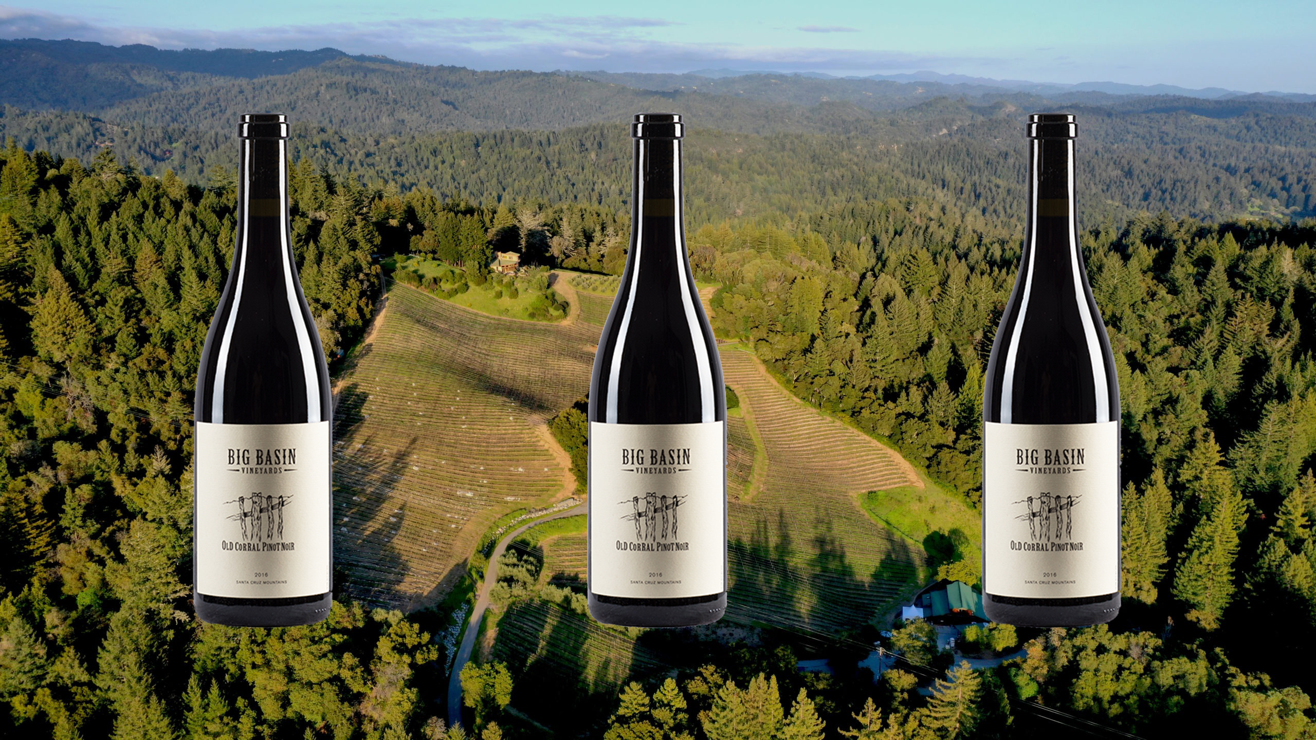 Wine of The Week Big Basin Old Corral Pinot Noir 2019 Maxim