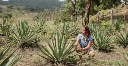 Explore The Art Of Mezcal-Making At This Stunning Mexican Jungle Resort